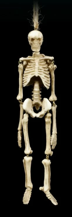 Skelett Figuren Zum Hängen - 2er Set -FIGUREN Verkäufe Skelett Figuren Zum Haengen 2er Set 4 1280x1280