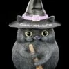 Katzen Figur - Snapcat Lucky Black Cat Hexenhut -FIGUREN Verkäufe Snapcat Katzen Figur Lucky Black Cat Hexenhut 1 1280x1280