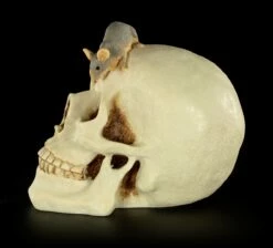 Spardose - Totenkopf Mit Maus -FIGUREN Verkäufe Spardose Totenkopf Maus 3 1280x1280