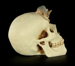 Spardose - Totenkopf Mit Maus -FIGUREN Verkäufe Spardose Totenkopf Maus 7 1280x1280