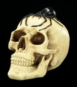 Spardose - Totenkopf Mit Spinne -FIGUREN Verkäufe Spardose Totenkopf Spinne 2 1280x1280
