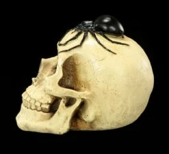 Spardose - Totenkopf Mit Spinne -FIGUREN Verkäufe Spardose Totenkopf Spinne 3 1280x1280