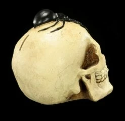 Spardose - Totenkopf Mit Spinne -FIGUREN Verkäufe Spardose Totenkopf Spinne 6 1280x1280