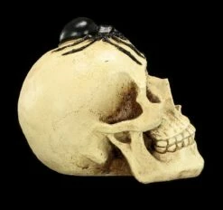 Spardose - Totenkopf Mit Spinne -FIGUREN Verkäufe Spardose Totenkopf Spinne 7 1280x1280