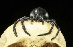 Spardose - Totenkopf Mit Spinne -FIGUREN Verkäufe Spardose Totenkopf Spinne 8 1280x1280