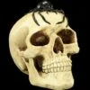 Spardose - Totenkopf Mit Spinne 2 Spardose - Totenkopf Mit Spinne -FIGUREN Verkäufe Spardose Totenkopf Spinne 1280x1280