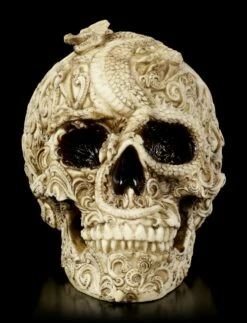 Totenkopf - Cranial Drakos -FIGUREN Verkäufe Totenkopf Cranial Drakos 1 1280x1280