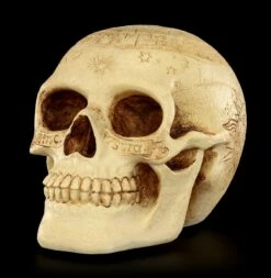 Totenkopf - Crane Astrologie -FIGUREN Verkäufe Totenkopf Crave Astrologie 2 1280x1280