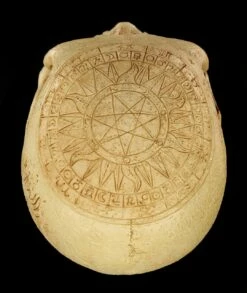 Totenkopf - Crane Astrologie -FIGUREN Verkäufe Totenkopf Crave Astrologie 9 1280x1280