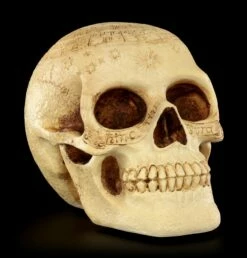 Totenkopf - Crane Astrologie