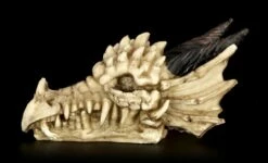 Totenkopf - Drachenschädel Mit Hörnern 8 Totenkopf - Drachenschädel Mit Hörnern -FIGUREN Verkäufe Totenkopf Drachenschaedel Hoerner 2 1280x1280