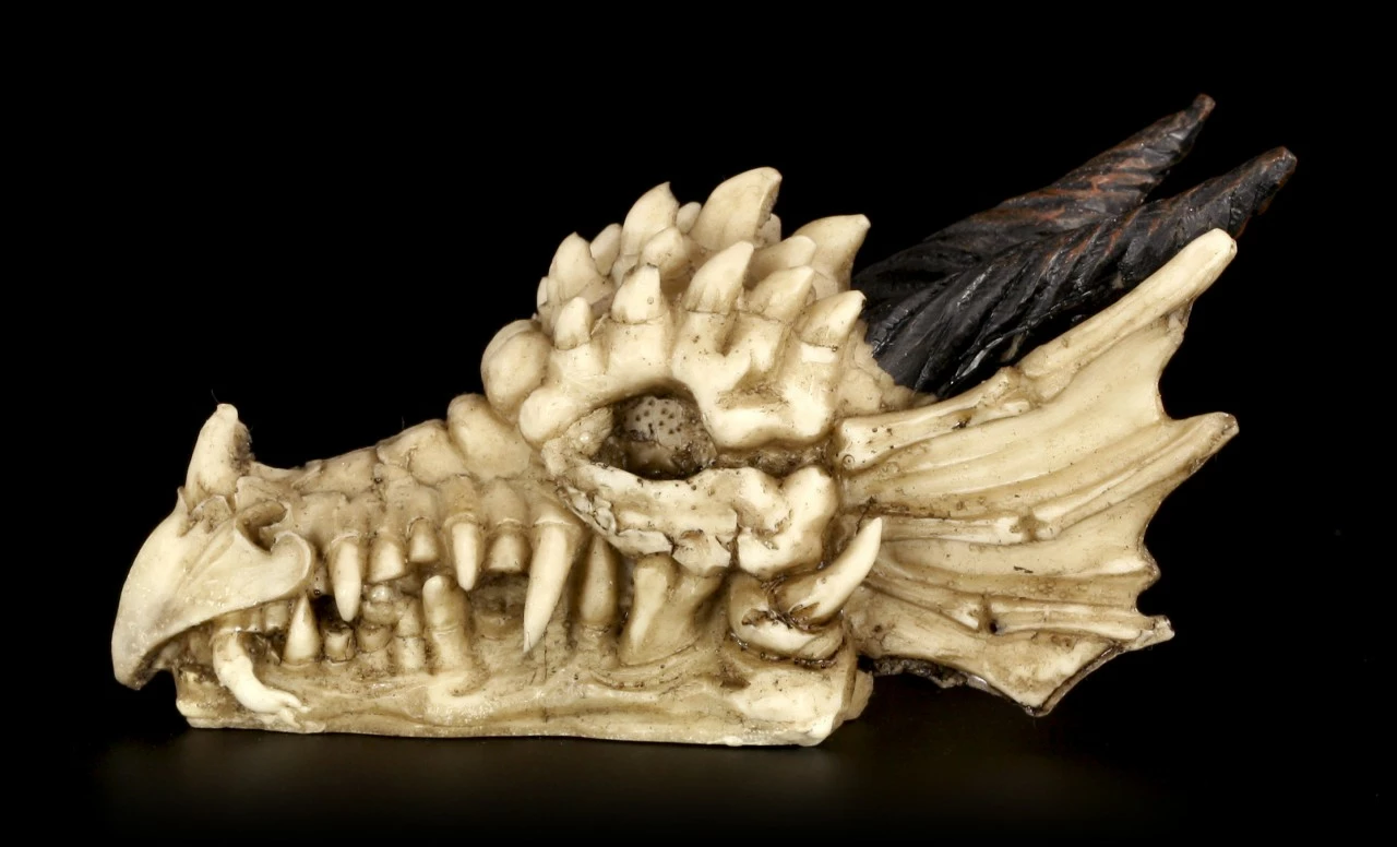 Totenkopf - Drachenschädel Mit Hörnern 5 Totenkopf - Drachenschädel Mit Hörnern – Bild 3