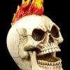 Totenkopf - Flammen Punk -FIGUREN Verkäufe Totenkopf Flammen Punk 1280x1280