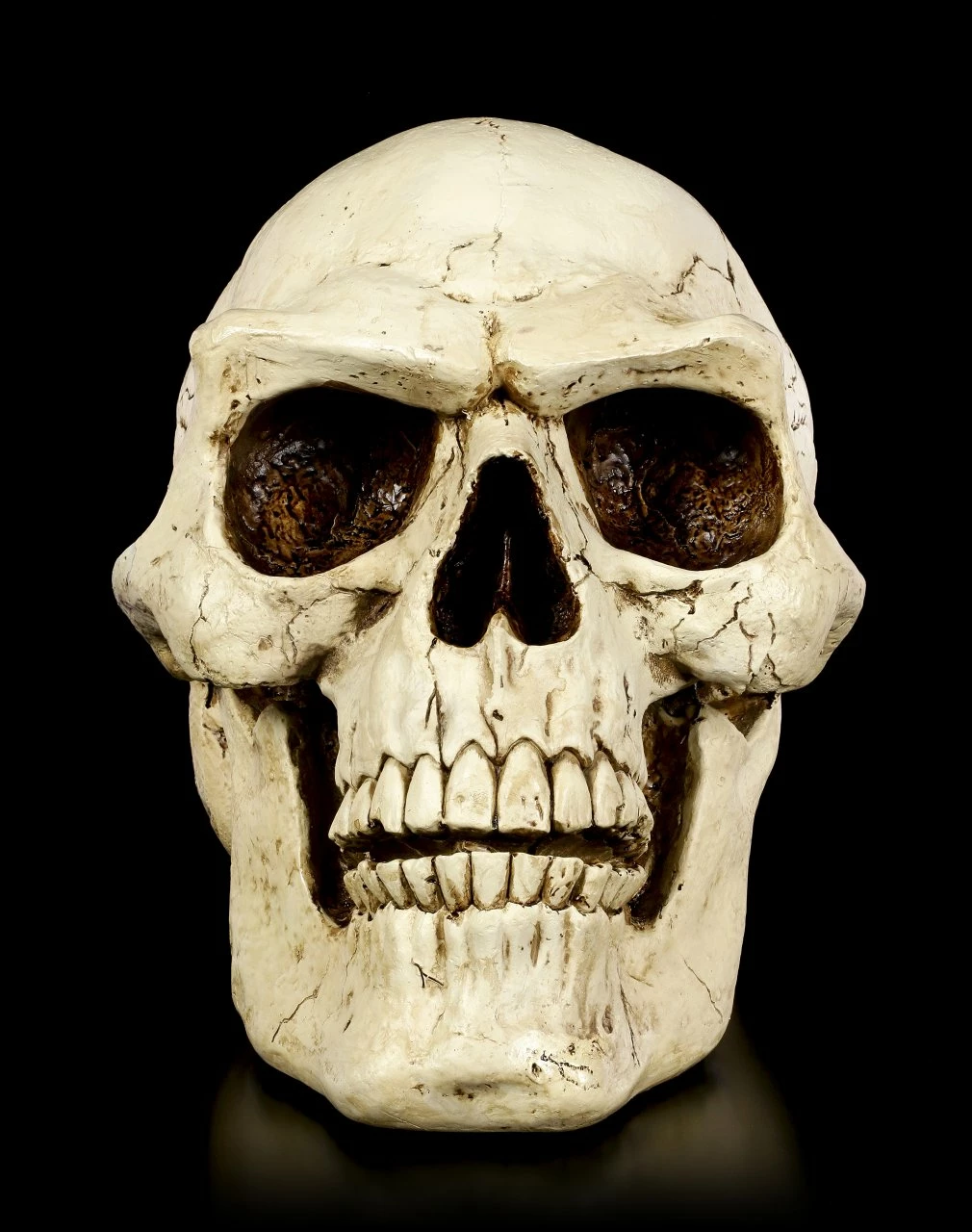 Totenkopf Für Den Garten 4 Totenkopf Für Den Garten – Bild 2