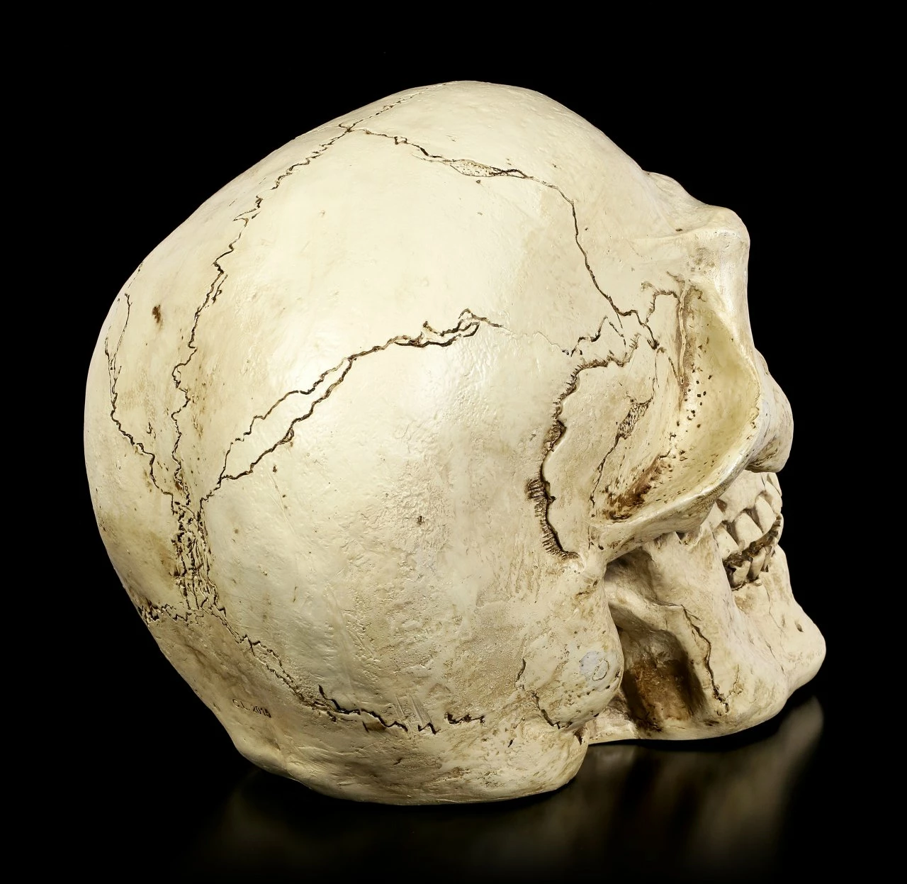 Totenkopf Für Den Garten 7 Totenkopf Für Den Garten – Bild 5