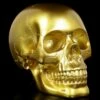Totenkopf - Goldfarben 2 Totenkopf - Goldfarben -FIGUREN Verkäufe Totenkopf Goldfarben 1280x1280