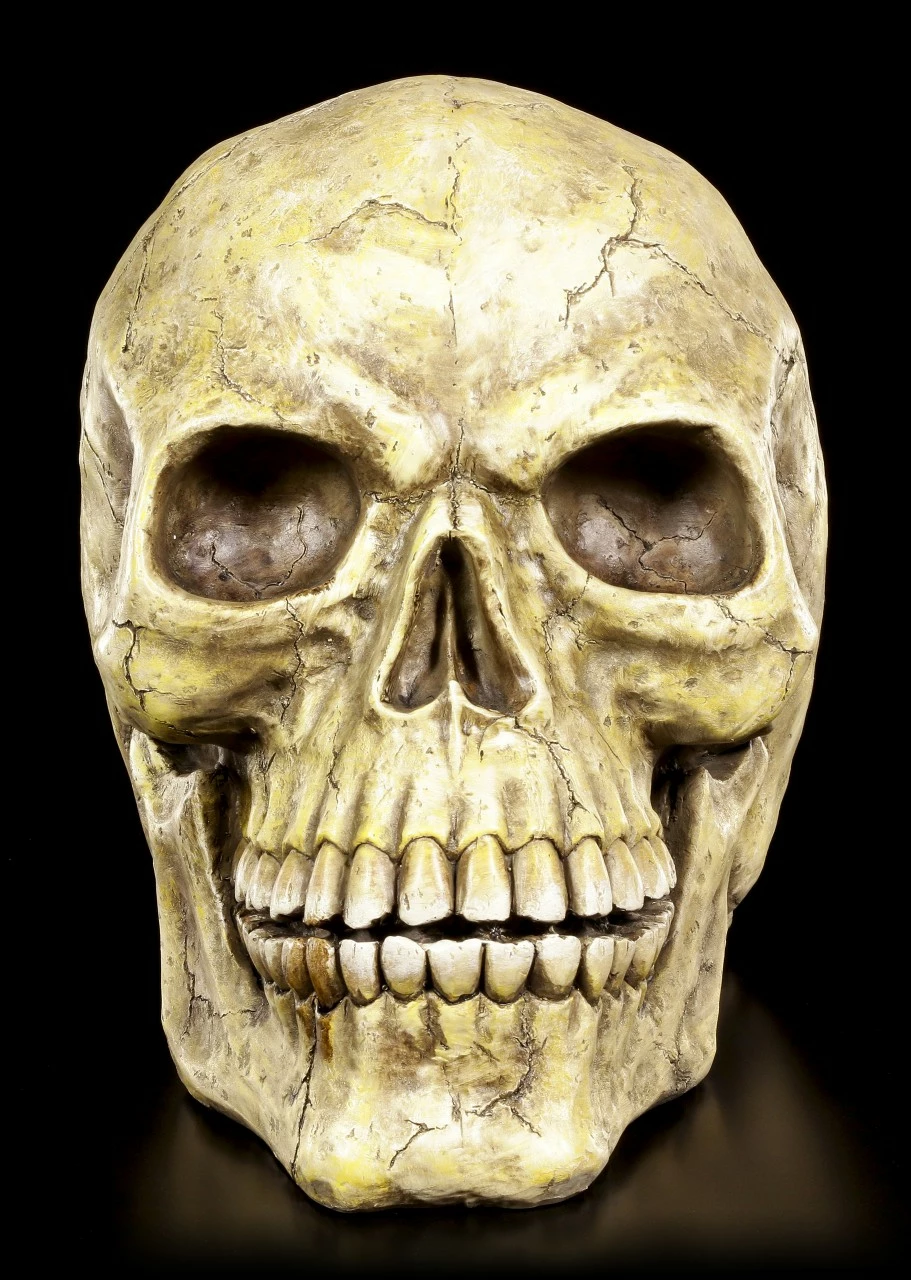 Totenkopf Groß 4 Totenkopf Groß – Bild 2