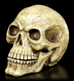 Totenkopf Groß 9 Totenkopf Groß -FIGUREN Verkäufe Totenkopf Gross 2 1280x1280