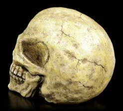 Totenkopf Groß 10 Totenkopf Groß -FIGUREN Verkäufe Totenkopf Gross 3 1280x1280