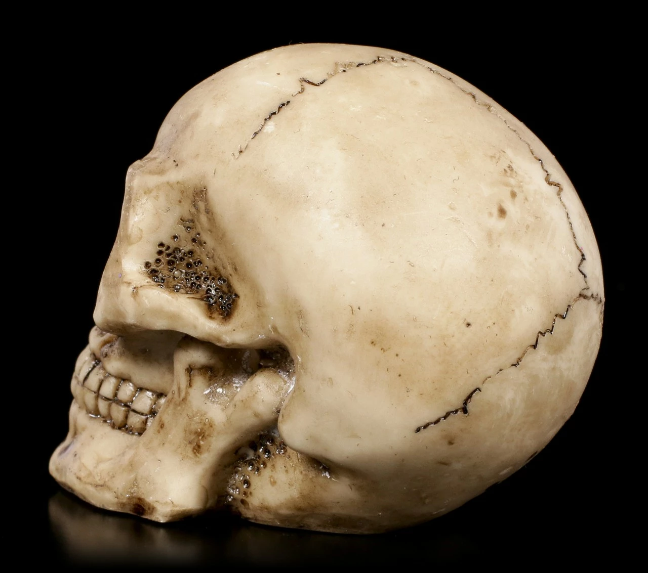 Totenkopf Mit Roten Augen 6 Totenkopf Mit Roten Augen – Bild 4