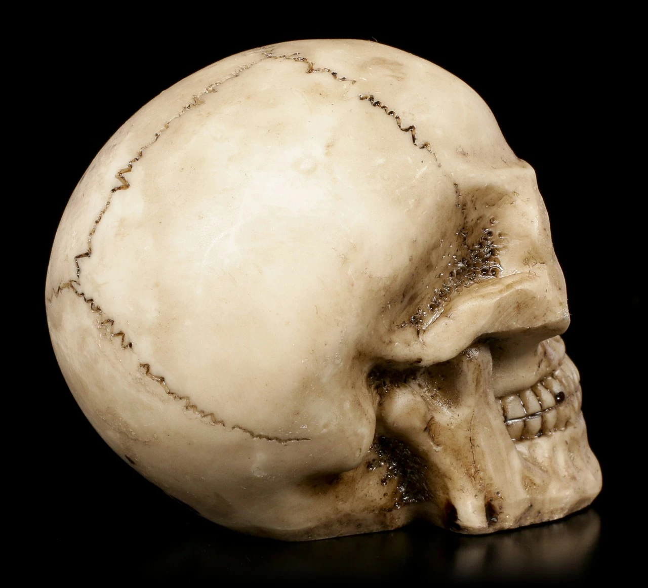 Totenkopf Mit Roten Augen 7 Totenkopf Mit Roten Augen – Bild 5