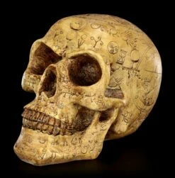 Totenkopf - Necromancien -FIGUREN Verkäufe Totenkopf Necromancien 2570a39092559a 1280x1280