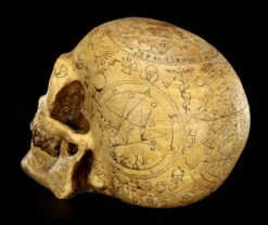 Totenkopf - Necromancien -FIGUREN Verkäufe Totenkopf Necromancien 4570a391dd14be 1280x1280