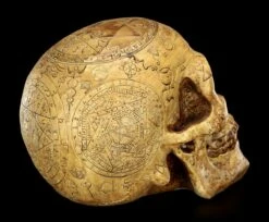 Totenkopf - Necromancien -FIGUREN Verkäufe Totenkopf Necromancien 6570a39316c184 1280x1280