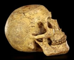 Totenkopf - Necromancien -FIGUREN Verkäufe Totenkopf Necromancien 7570a393c301ca 1280x1280