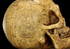 Totenkopf - Necromancien -FIGUREN Verkäufe Totenkopf Necromancien 9 1280x1280