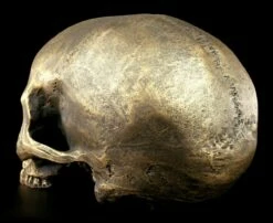 Totenkopf Ohne Unterkiefer - Antik Goldfarben -FIGUREN Verkäufe Totenkopf Ohne Unterkiefer Antik 4 1280x1280