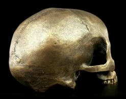 Totenkopf Ohne Unterkiefer - Antik Goldfarben -FIGUREN Verkäufe Totenkopf Ohne Unterkiefer Antik 6 1280x1280