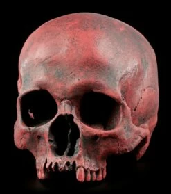 Totenkopf Replikat Frau - Sagus - Karmin Rot Limitiert -FIGUREN Verkäufe Totenkopf Replikat Rot 2576b9b1767dd3 1280x1280