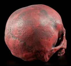 Totenkopf Replikat Frau - Sagus - Karmin Rot Limitiert -FIGUREN Verkäufe Totenkopf Replikat Rot 4576b9b26615d5 1280x1280