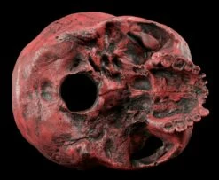 Totenkopf Replikat Frau - Sagus - Karmin Rot Limitiert -FIGUREN Verkäufe Totenkopf Replikat Rot 5576b9b2bb7540 1280x1280