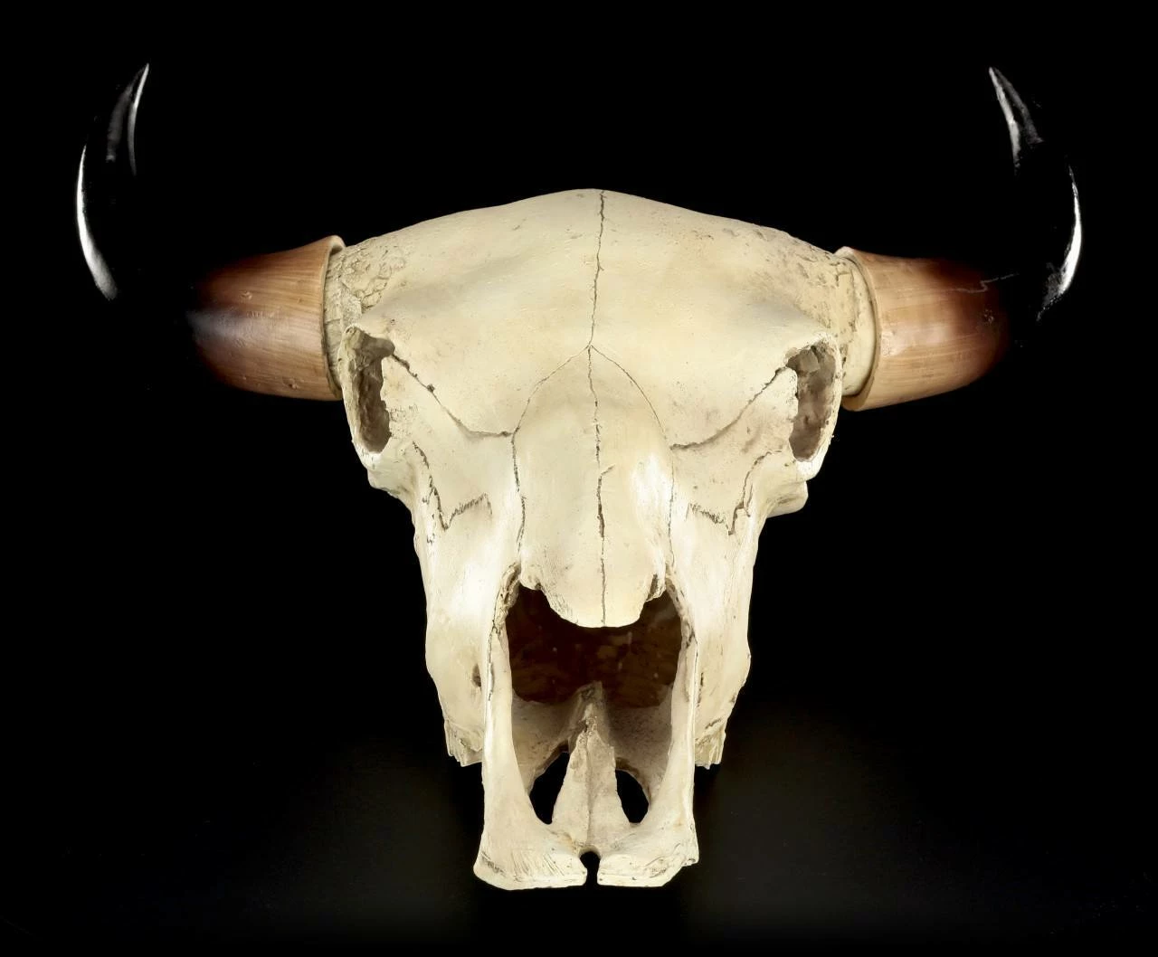 Totenkopf - Rinder Schädel Western 4 Totenkopf - Rinder Schädel Western – Bild 2