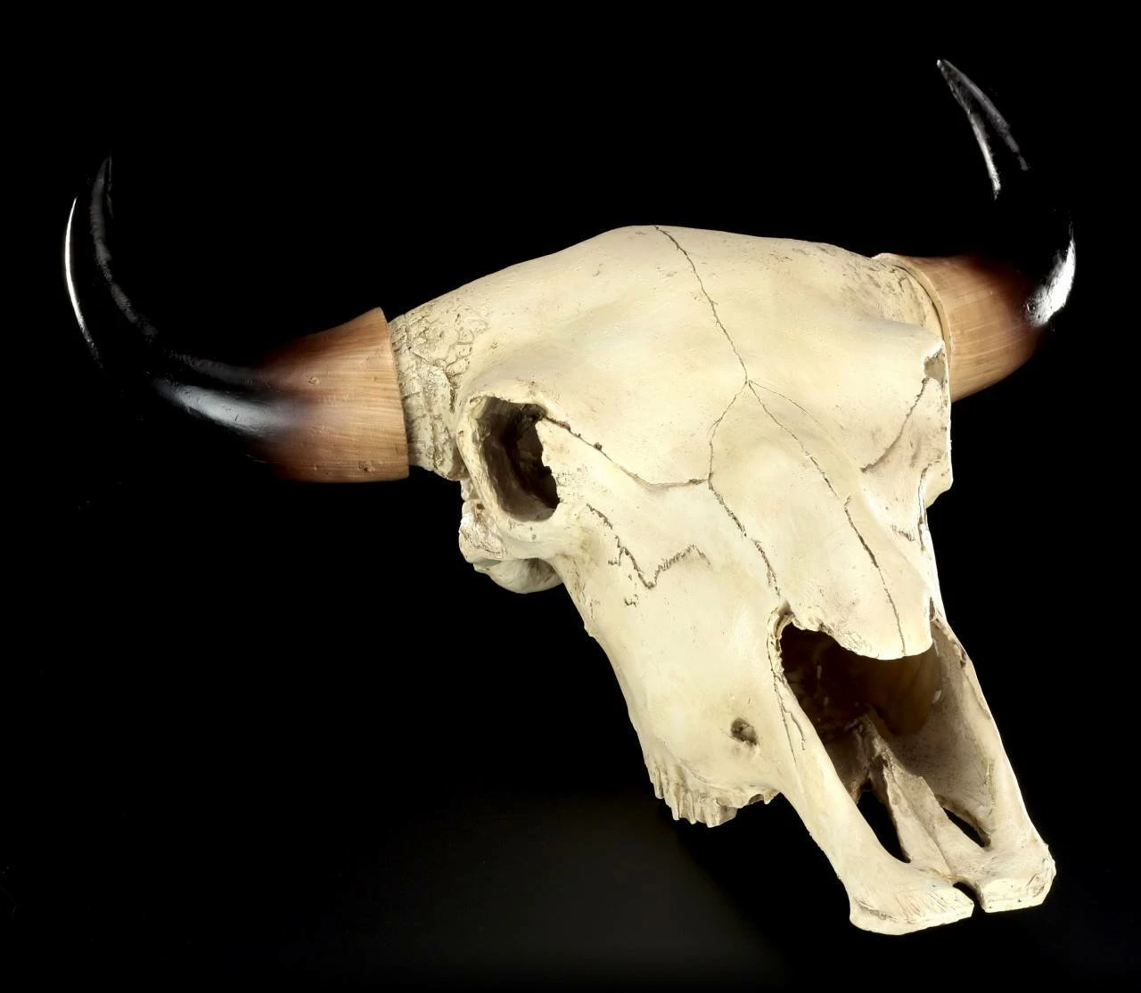 Totenkopf - Rinder Schädel Western 3 Totenkopf - Rinder Schädel Western