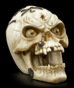 Totenkopf Mit Libelle