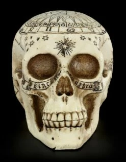 Totenkopf Astrologie - Tierkreiszeichen -FIGUREN Verkäufe Totenkopf Tierkreiszeichen 1 1280x1280