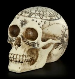 Totenkopf Astrologie - Tierkreiszeichen -FIGUREN Verkäufe Totenkopf Tierkreiszeichen 2 1280x1280