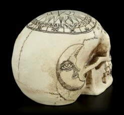 Totenkopf Astrologie - Tierkreiszeichen -FIGUREN Verkäufe Totenkopf Tierkreiszeichen 6 1280x1280