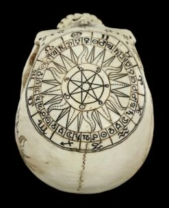 Totenkopf Astrologie - Tierkreiszeichen -FIGUREN Verkäufe Totenkopf Tierkreiszeichen 8 1280x1280