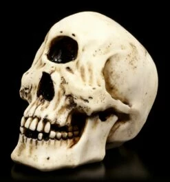 Totenkopf - Zyklop -FIGUREN Verkäufe Totenkopf Zyklop 2 1280x1280