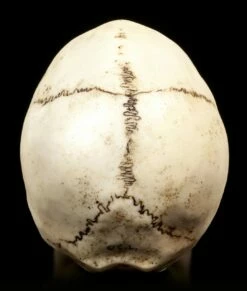 Totenkopf - Zyklop -FIGUREN Verkäufe Totenkopf Zyklop 3 1280x1280