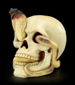 Totenkopf - Kobra Schlängelt Sich Durchs Auge -FIGUREN Verkäufe Totenkopf mit Cobra 2 1280x1280