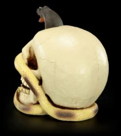 Totenkopf - Kobra Schlängelt Sich Durchs Auge -FIGUREN Verkäufe Totenkopf mit Cobra 4 1280x1280