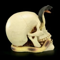 Totenkopf - Kobra Schlängelt Sich Durchs Auge -FIGUREN Verkäufe Totenkopf mit Cobra 7 1280x1280