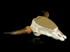 Wandrelief Büffel Schädel - Indianisches Muster 11 Wandrelief Büffel Schädel - Indianisches Muster -FIGUREN Verkäufe Wandrelief Bueffel Schaedel Indianisches Muster 4 1280x1280