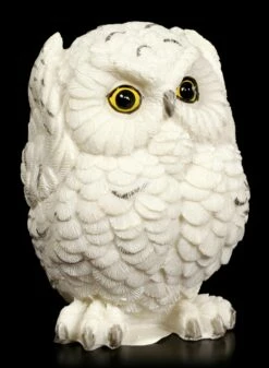 Figur - Drei Weise Schnee-Eulen 13 Figur - Drei Weise Schnee-Eulen -FIGUREN Verkäufe Weisse Eulen Nichts Boeses 457e245ceb632e 1280x1280