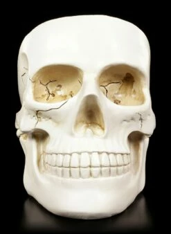 Weiße Totenkopf Schale -FIGUREN Verkäufe Weisse Totenkopf Schale 2 1280x1280